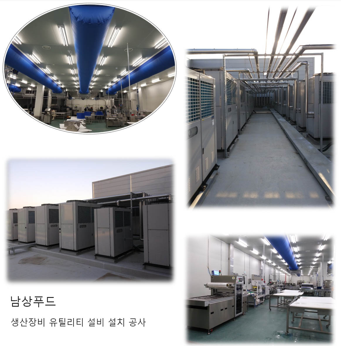 사업영역